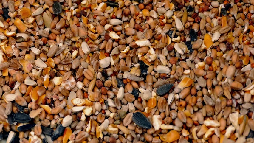 grain spill stock footage video 2247868 shutterstock grain spill stock footage video 2247868 shutterstock