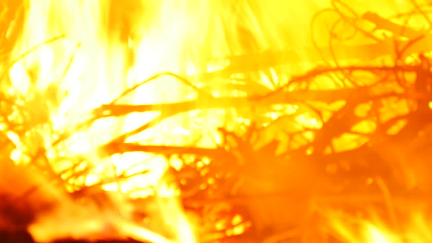 Stroong Burning Fire Flames And Branches Stock Footage ...