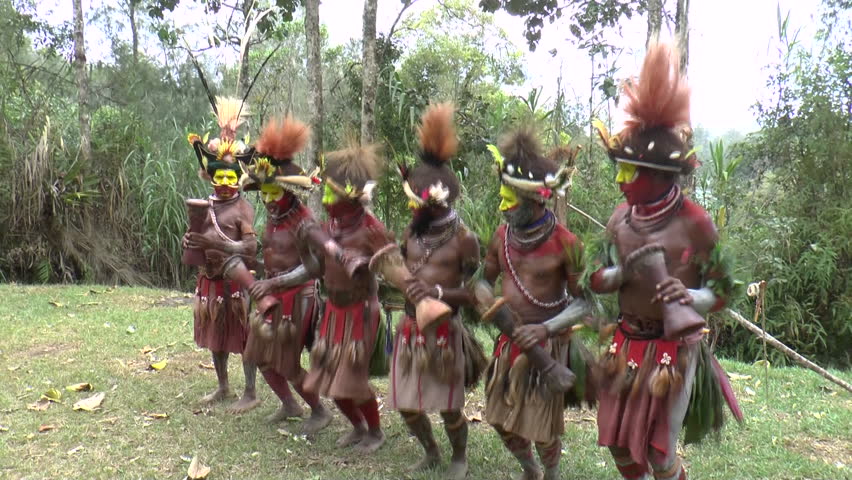 PAPUA NEW GUINEA - NOV.4: Huli Wigmen Tribal Warriors Ceremony