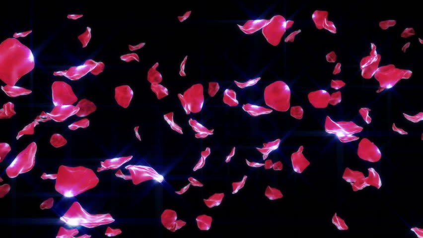 Red Rose Petals Falling On The Black Background. Alpha Channel Is
