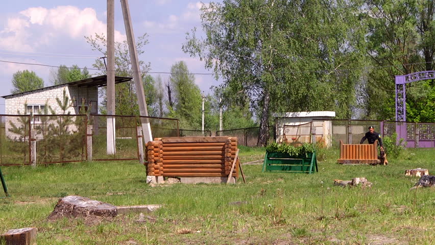 Header of malinois