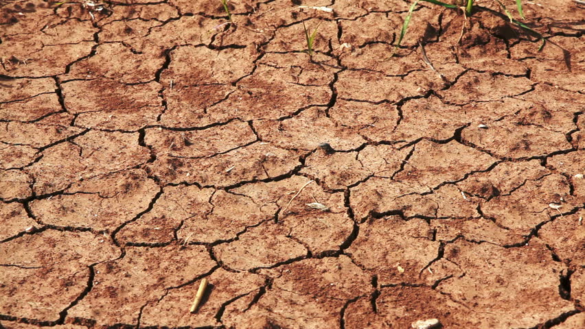 close-up-dolly-across-dry-cracked-barren-desert-soil-to-a-row-of