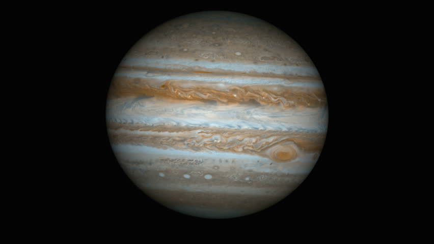 Live Daphnia (bosmina) Under Microscope, Magnification 40x Stock