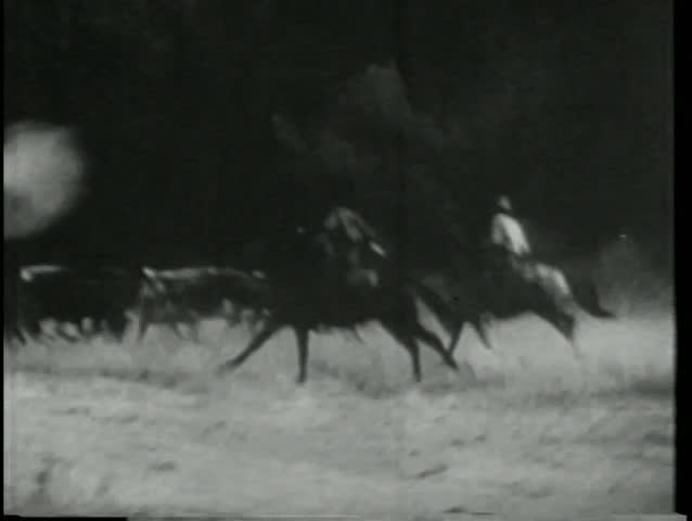 Two-Gun Of The Tumbleweed [1927]