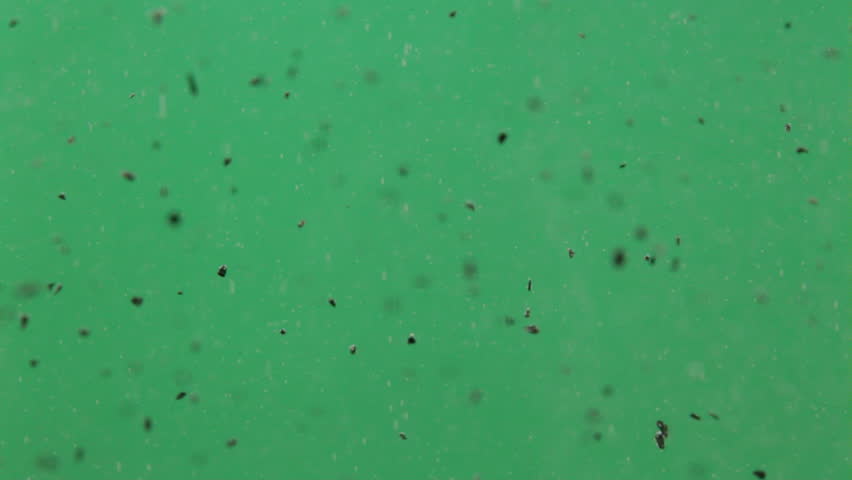 Header of Activated Carbon