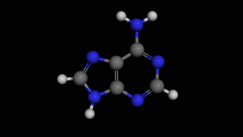 Header of adenine
