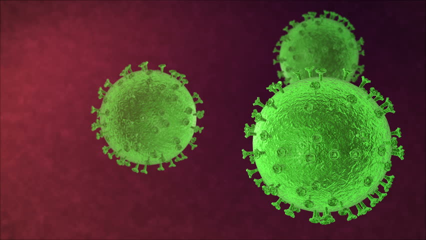 viral infection influenza or flu essay viral infection influenza or flu essay
