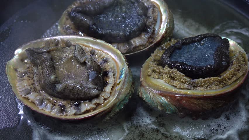 Header of Abalone
