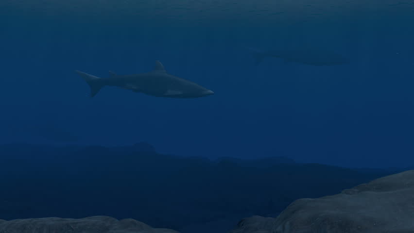 Header of alleged