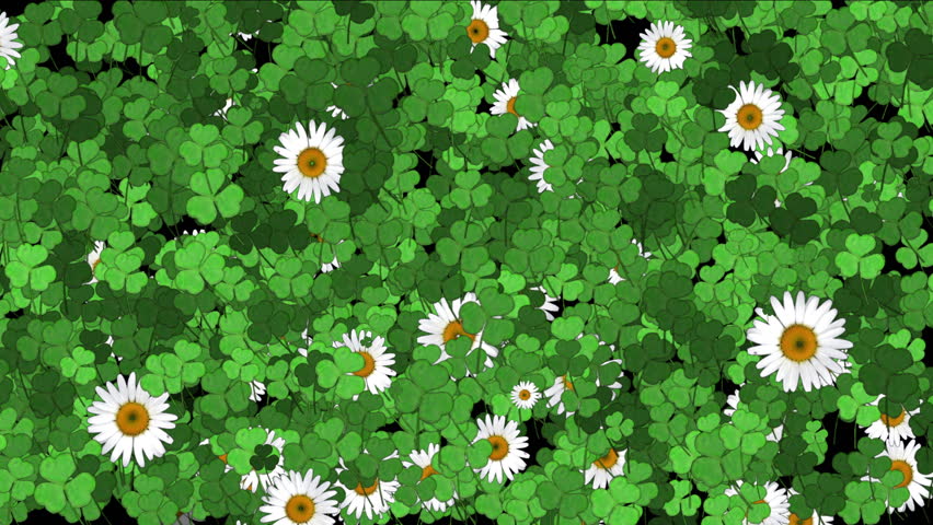 苜蓿叶形立交路口视频素材-站酷海洛创意正版