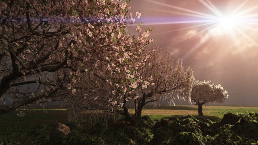 Header of Eden