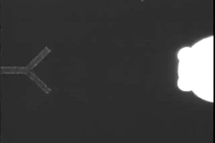 Header of affect