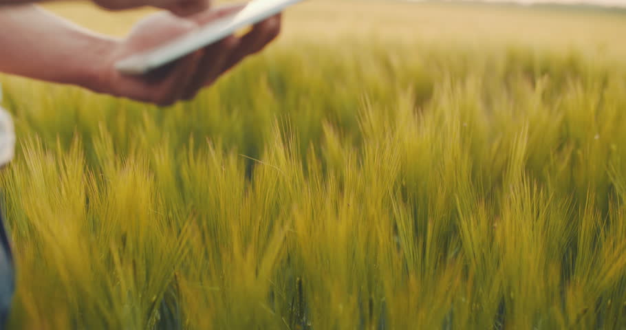 Header of agriculturalist
