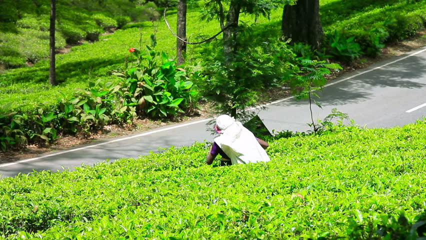 rake hispanic single women The median wealth for single black women is only $100 about a third of single hispanic women and one-fourth of single black women have no checking or savings. rake hispanic single women The median wealth for single black women is only $100 about a third of single hispanic women and one-fourth of single black women have no checking or savings.