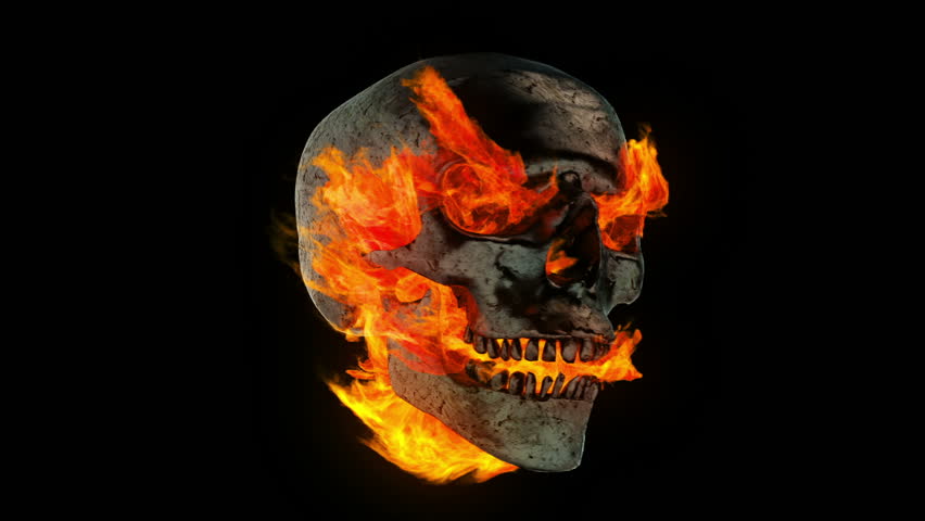Burning Skull Stock Footage Video 3000625 - Shutterstock