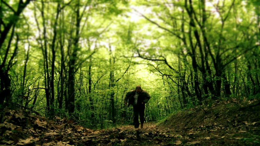 Man Walking In The Forest Stock Footage Video 2907013 Shutterstock