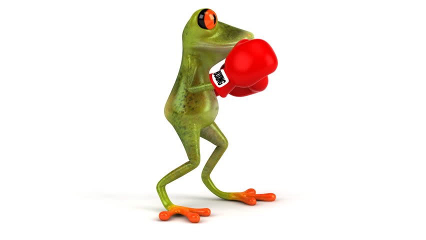 Fun Frog With Boxing Gloves Stock Footage Video 3168499 - Shutterstock