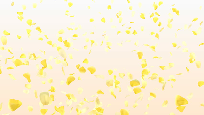 Rose Petals. Stock Footage Video 500518 - Shutterstock