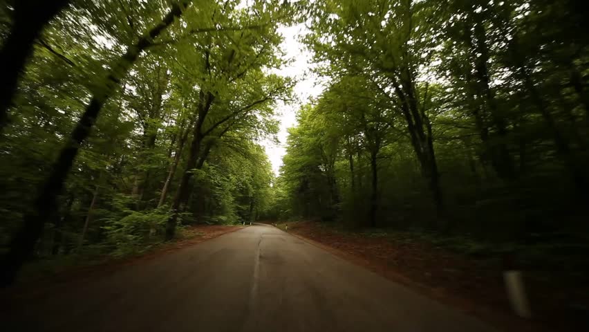 POV Video Footage Of Driving In A Forest In South Tyrol ...