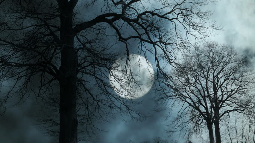 Time Lapse Of Moon Night Sky. Spooky Trees Silhouette. Darkness. Scary