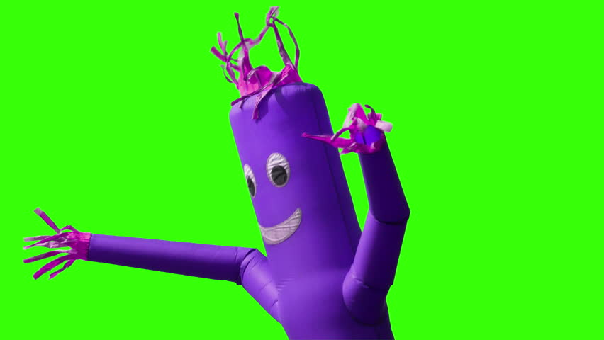 A Looping Green Screen Shot Of A Purple Wacky Waving Inflatable Arm