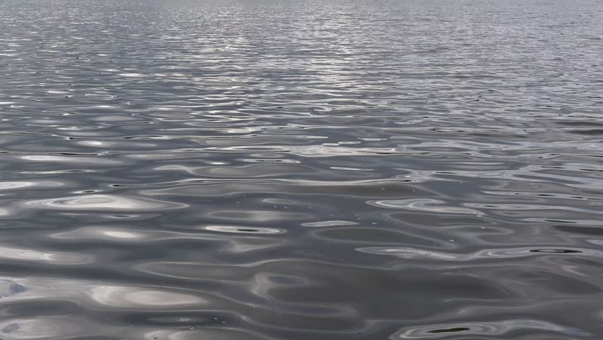 Water Ripples On Lake - Natural Motion Background Stock Footage Video 