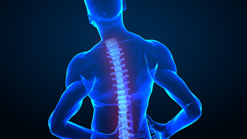 Focused On Human Backbone - Front View Stock Footage Video 719707