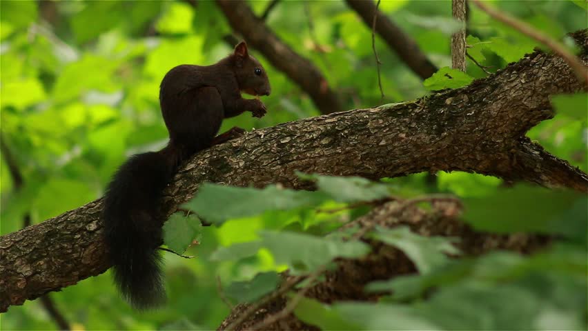 book thermal sensors volume 4 sensors a comprehensive survey 1990 book thermal sensors volume