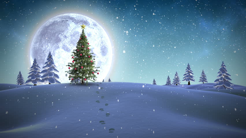 Christmas Tree, Snowy Night, Loop Stock Footage Video 1627663