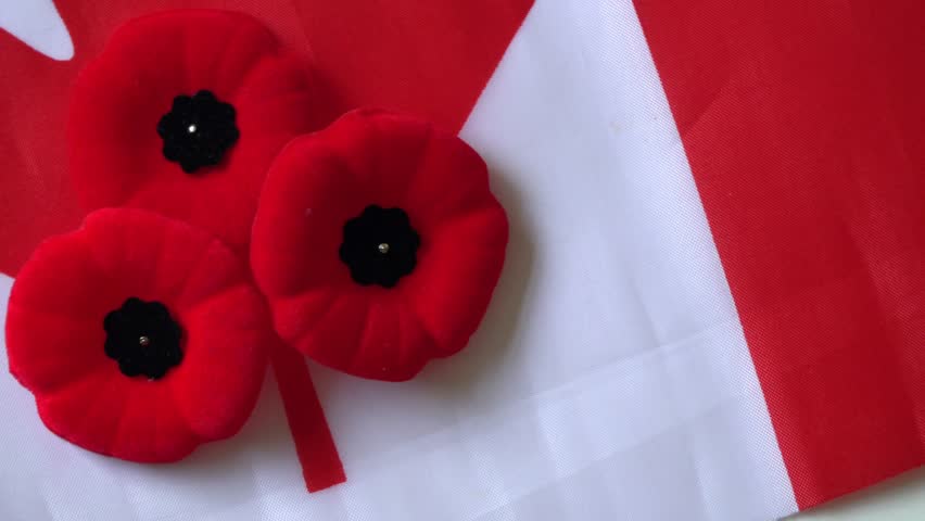 Veterans day canada poppy