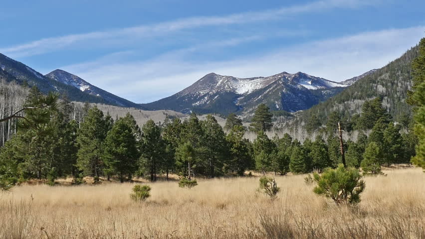 Scenic View Of Humphrey's Peak From Lockett Meadow In Northern Arizona 