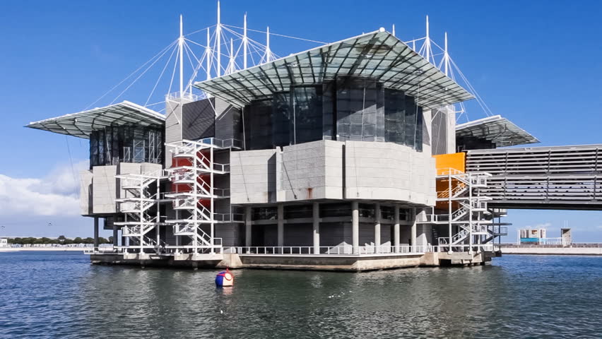 lisbon portugal february 01 2015 lisbon oceanarium the second largest oceanarium - Biggest House In The World 2015 lisbon portugal february 01 2015 lisbon oceanarium the second largest oceanarium - Biggest House In The World 2015