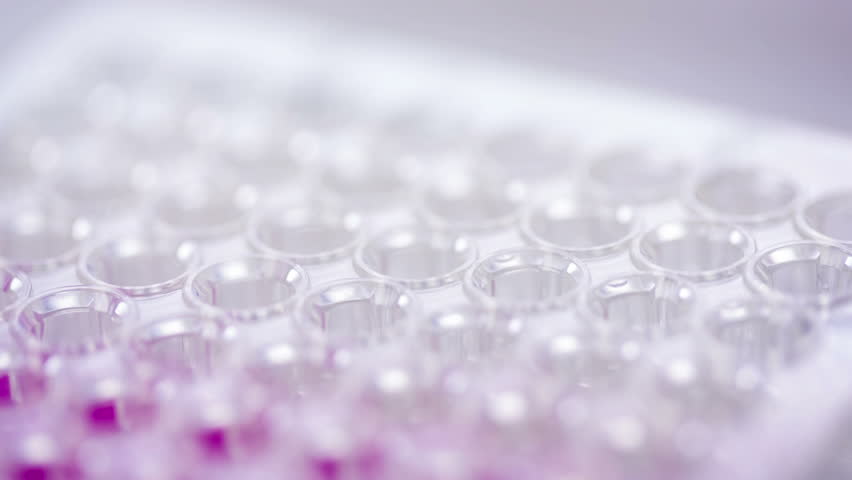 Header of 96