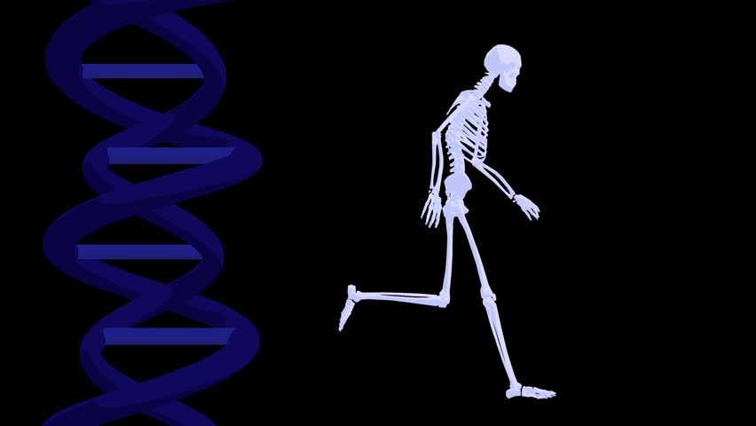 dna running store