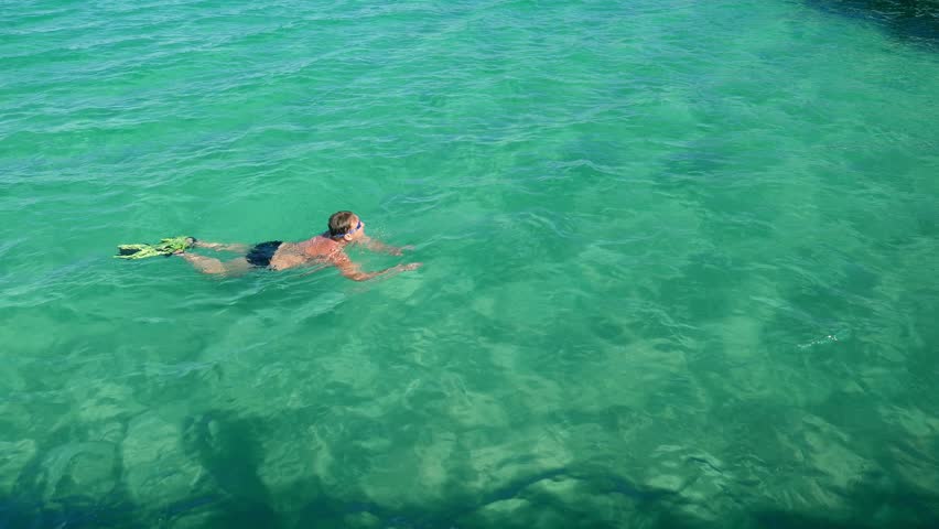 Striped Remora (echeneis Naucrates) Swimming In The Red Sea (Egypt ...