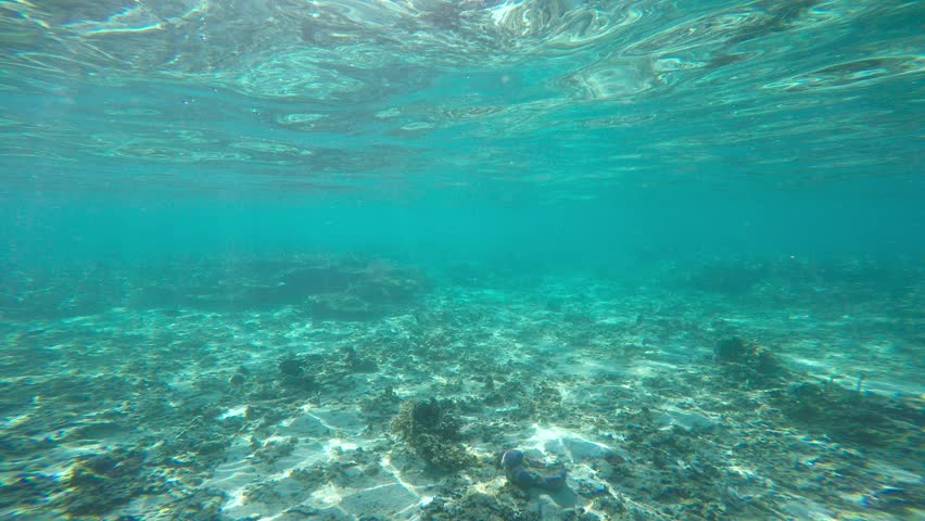 Underwater HD Video Of Dappled Sunlight On Ocean Floor Stock Footage ...