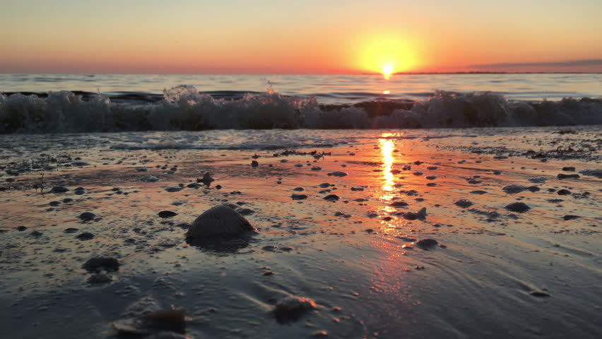 Low Angle Sunset Beach Stock Footage Video 3819137 - Shutterstock