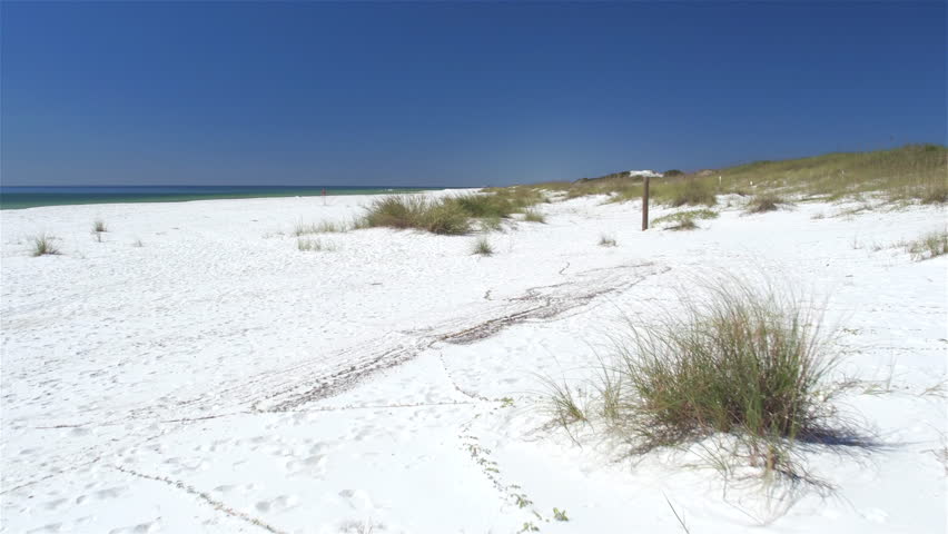 Gentle Breeze Moves The Sea Oats Covering The Dunes On A Pristine Gulf ...