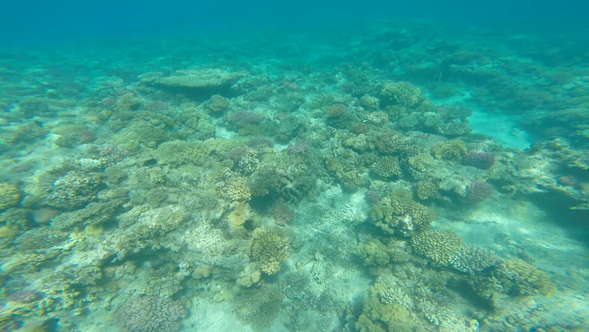 Sand Underwater On Shallow Seabed With Natural Light Through Water ...