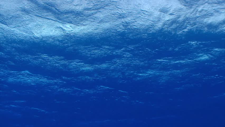 High Quality Looping Animation Of Ocean Waves From Underwater With ...