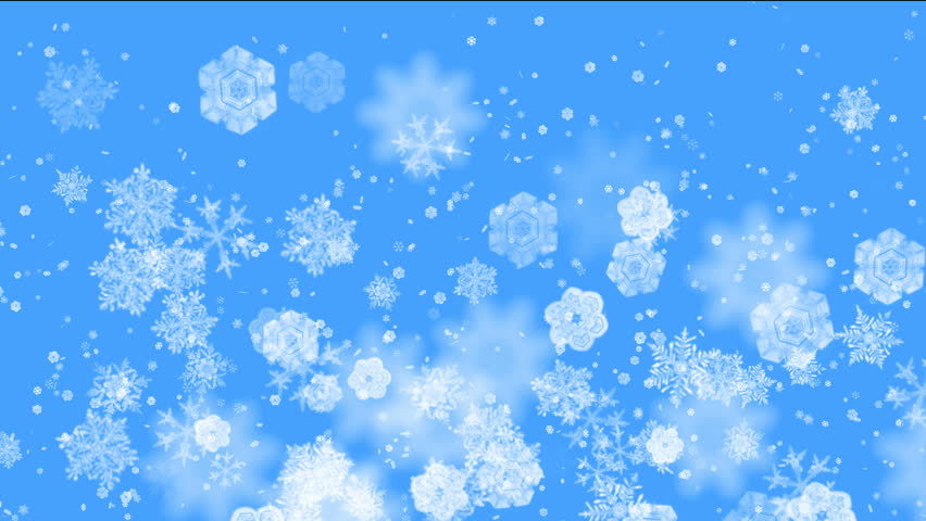 Beautiful Snowflakes Falling Down The Sky Stock Footage Video 513232 ...