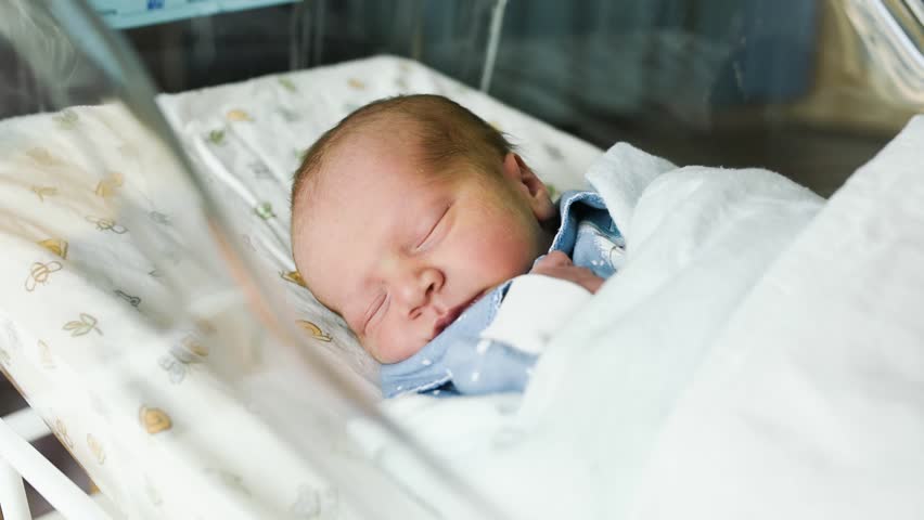 Maternity Ward Stock Footage Video - Shutterstock