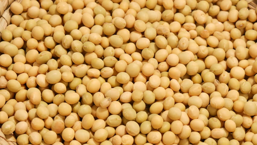 4k Soybean Beans Closeup,seeds Food Raw Material,delicious Dishes Seed ...