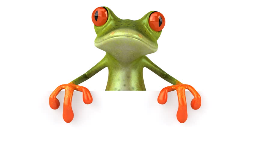 Fun Frog With Question Mark Stock Footage Video 3144787 - Shutterstock