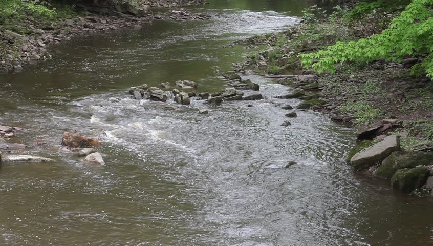 Babbling Brook. Shallow Stream In Shade That Feeds Into The Delaware ...