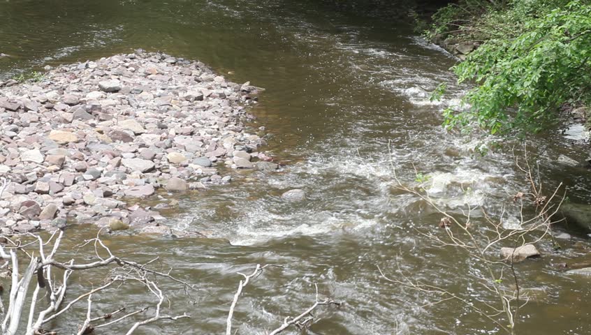 Shallow Stream. Babbling Brook In Shade That Feeds Into The Delaware ...