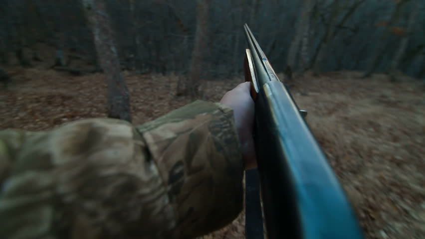 Hunter With A Shotgun In The Woods Stock Footage Video 3213952 ...