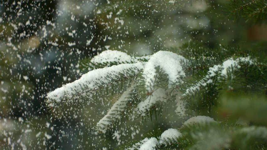 Snow Falling On Christmas Tree, Slow Motion Stock Footage Video 4581068 ...