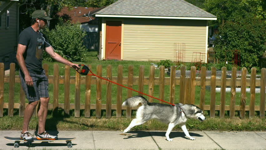 Dog Pulling Man On Skateboard, Slow Motion Stock Footage Video 4584389 ...