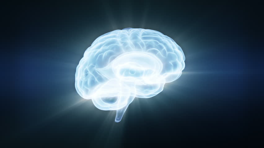 Brain Glow Seamless Loop HD 1080 Stock Footage Video 5985995 - Shutterstock